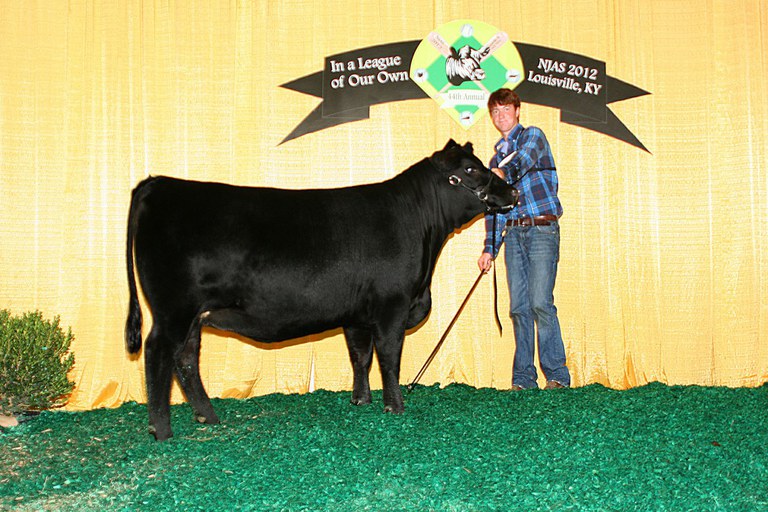 P S Playmate 859 133- Sold as Lot 1 in the 100th Anniversary Penn State Angus Production Sale. Class winner for Marshall McKean at the 2012 National Junior Angus Show.