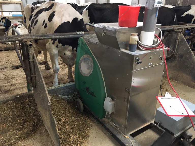 Cows in the study at the Penn State dairy barns, to eat a sweet treat, put their heads in devices that measure methane they belch. The average dairy cow burps about 380 pounds of the potent greenhouse gas a year. Image:  HRISTOV RESEARCH GROUP, PENN STATE