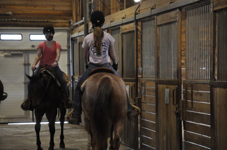 Students in the horse training and handling class work with this year's sale horses. Image: Penn State