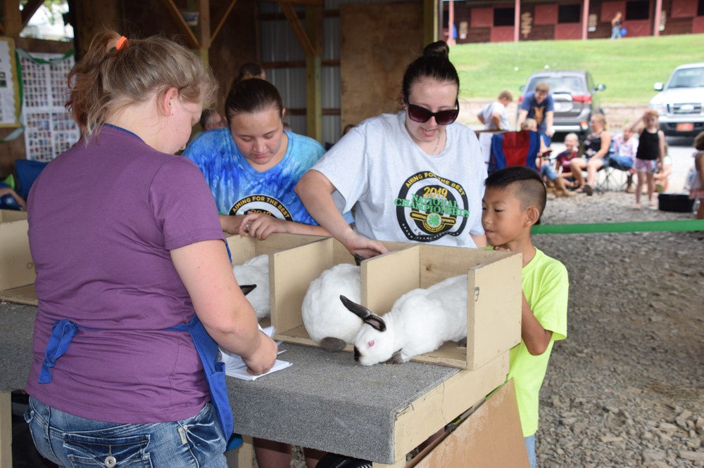 Ray's Hill Rabbit Ranchers