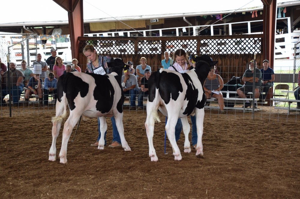Southern Cove Dairy & Livestock