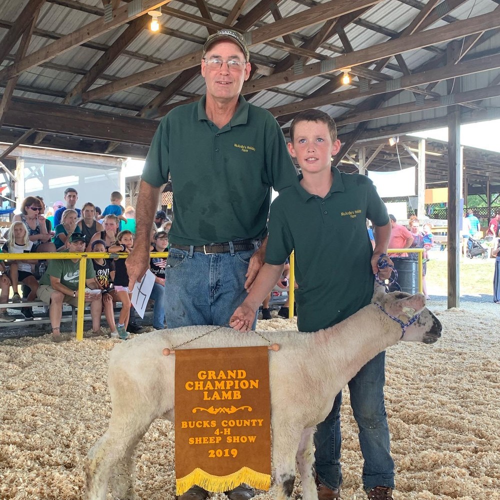Livestock Clubs