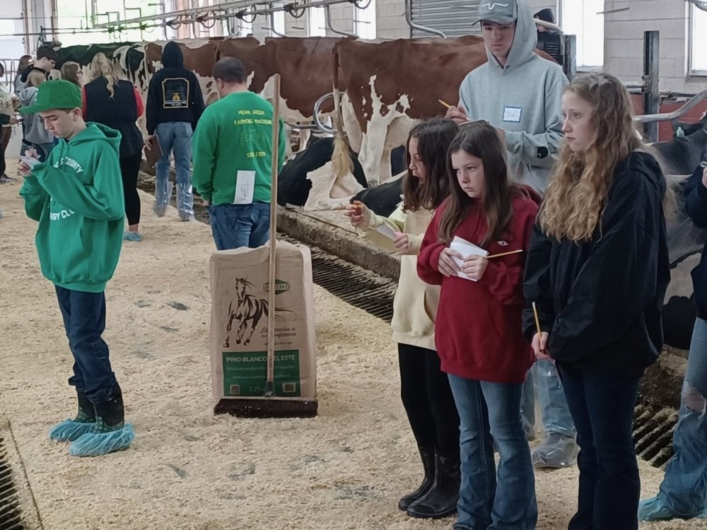 Bucks County 4-H Dairy Club Competes in Judging Contest
