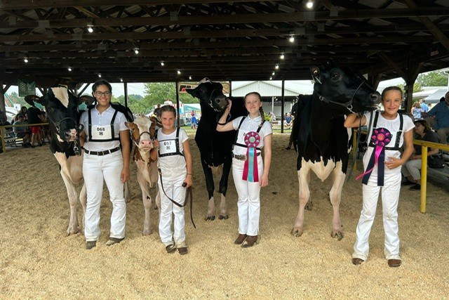 Bucks County 4-H Dairy Club Exhibited at the Middletown Grange Fair