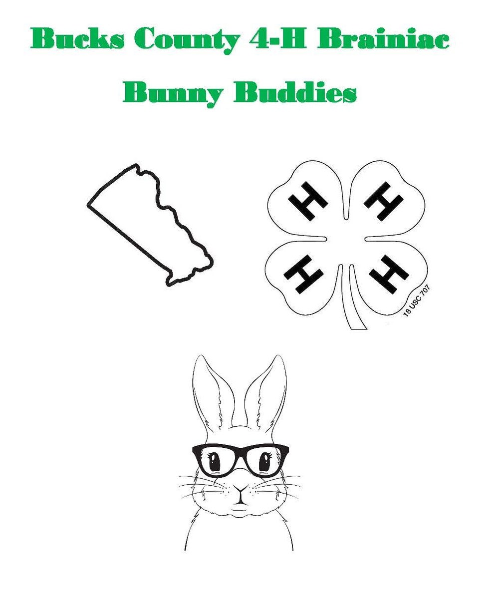 Bucks County 4-H Rabbit and Cavy Skillathon and Quiz Bowl