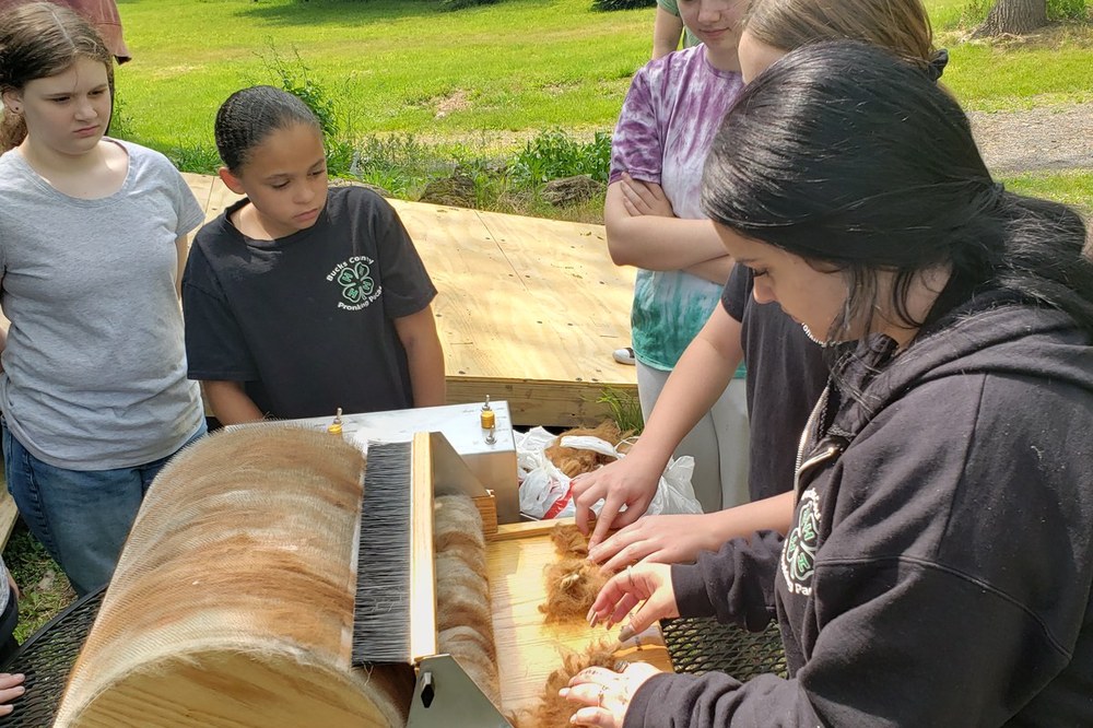 Fiber Education with Bucks County 4-H Pronking Pacas Bucks County 4-H Pronking Pacas members processing the fiber from shearing