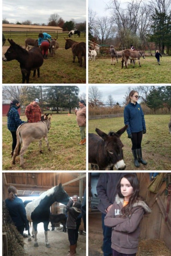Horsin Around 4-H Club
