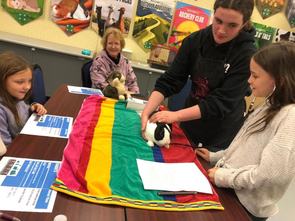 Little Rascals 4-H Rabbit and Cavy Club