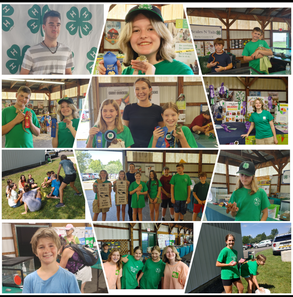 Scales N Tails 4-H Club August Fun! Scales N Tails 4-H Club Members