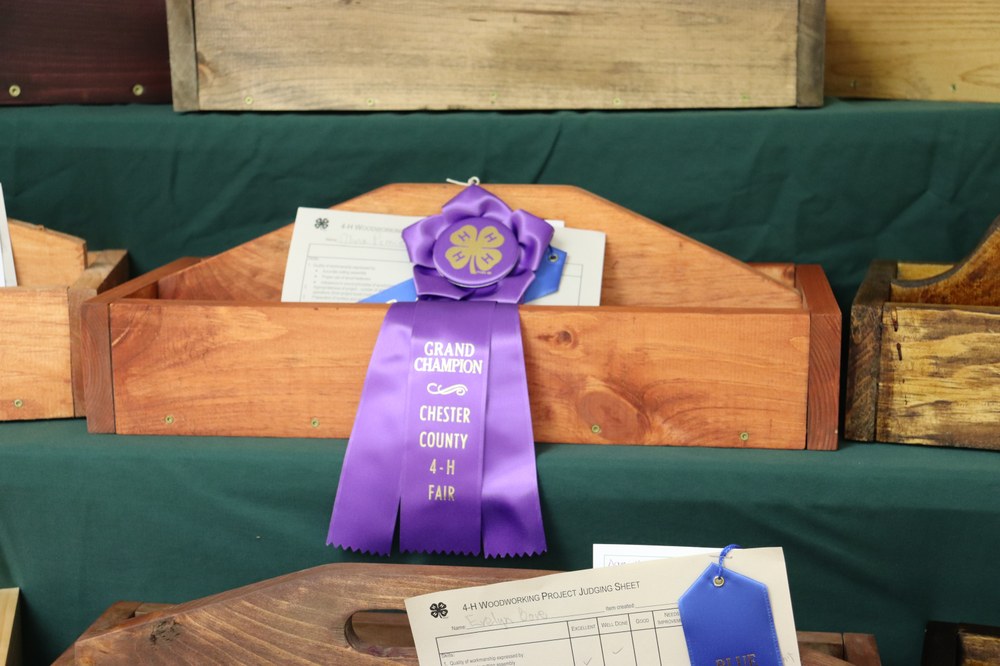 2023 Chester County 4-H Fair Tabletop Project Awards Olivia Prince's Tool Box, Grand Champion Woodworking