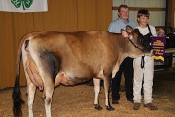 Chester County 4-H Dairy Show Jacob Pinciotti with Judge Mark Welk, photo credit Cindy Boyer Lloyd
