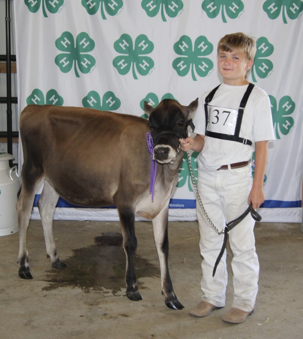 Chester County 4-H Dairy Show Jacob Pinciotti with Hillacres Hondo Rosebud