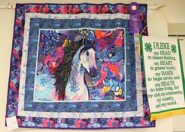 Chester County 4-H Fair - Still Project Round-Up Horse Quilt by Megan Johnson