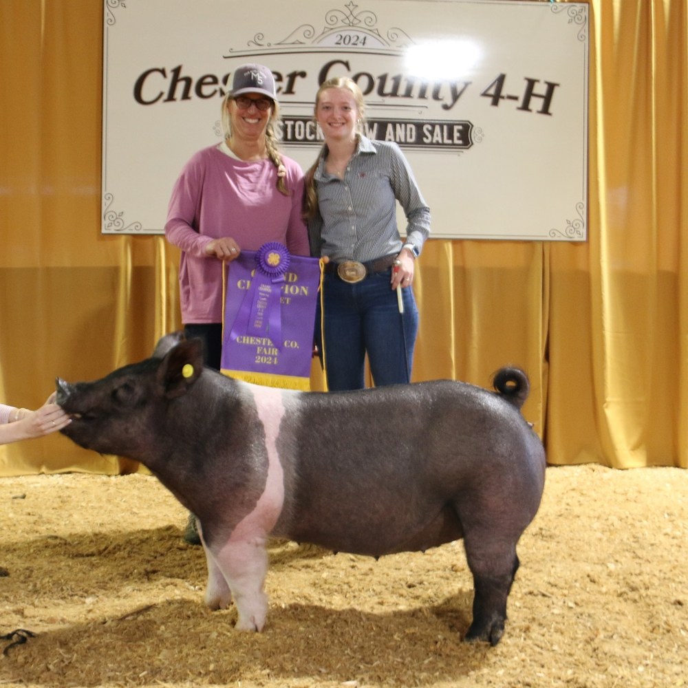 Chester County 4-H Swine Show Results Champion Market Hog exhibited by Emma Uhlman of Exton, also pictured, Christa Riepe of Brumby Fields, Inc.