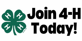 4-H Garden Club