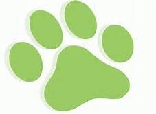 Blue Ribbon 4-H Dog Academy Club