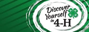 Franklin Township Community 4-H Club