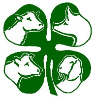 Livestock Judging Club