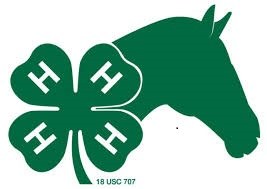 Lone Pines 4-H Club