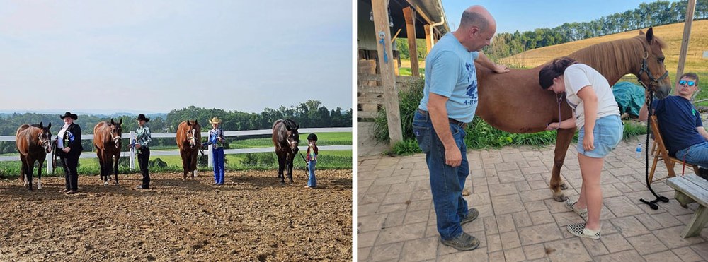 Equine Clubs