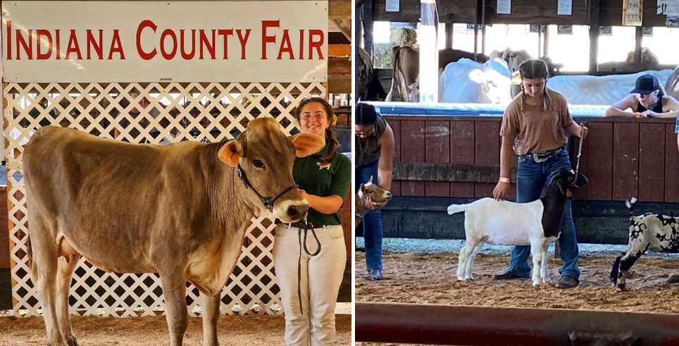 Livestock Clubs