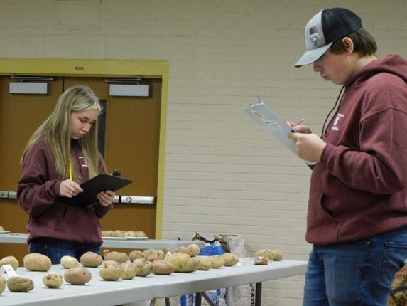 Specialty Clubs