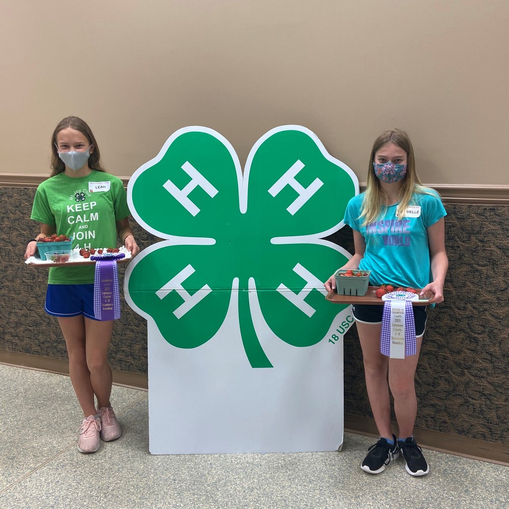 4-H 54th Annual Strawberry Roundup and Auction 2021 Champion and Reserve Winners Leah and Gabrielle