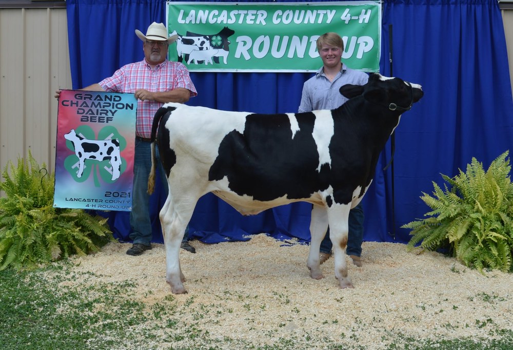 Lancaster 4-H Dairy Beef Club Round Up Results Grand Champion Dairy Beef - Trenton Martin