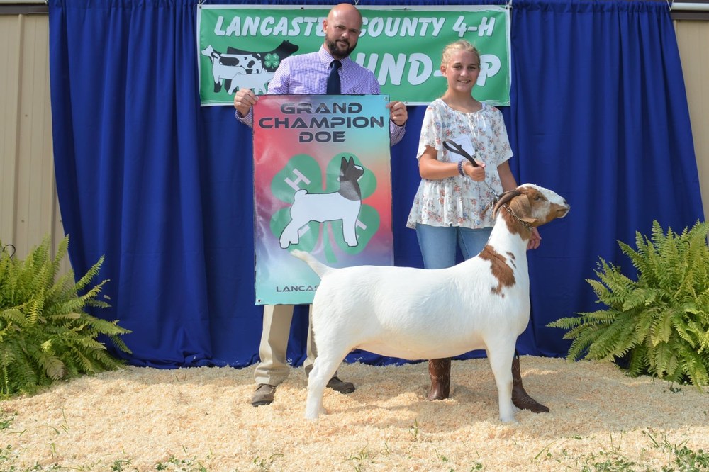 Lancaster 4-H Goat Club Round Up Results Grand Champion Doe - Alyssa Flahart