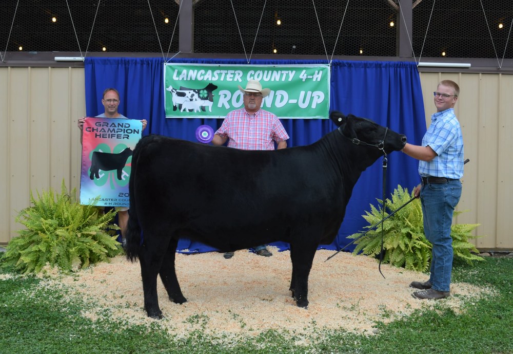 Lancaster 4-H Red Rose Beef Club Round Up Results Grand Champion Heifer - Michael Butz