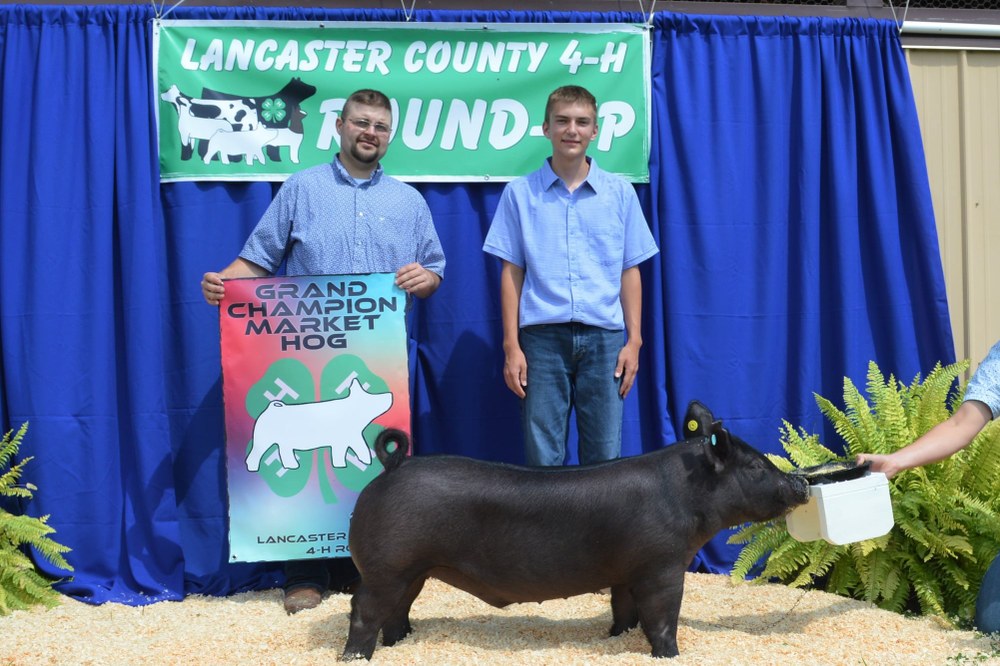 Lancaster 4-H Swine Club Round Up Results Grand Champion Market Hog - Tyler Zimmerman