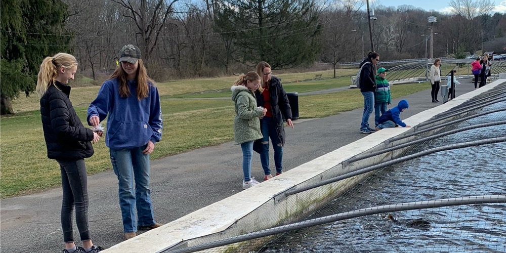 4-H Farm to Table Club