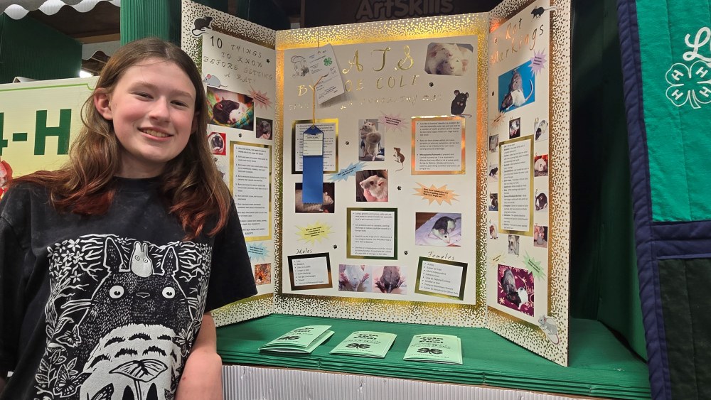 Allentown Fair: From a 4-H Member Perspective 4-H member Zoe Cole receives a blue ribbon for her educational display about pet rats