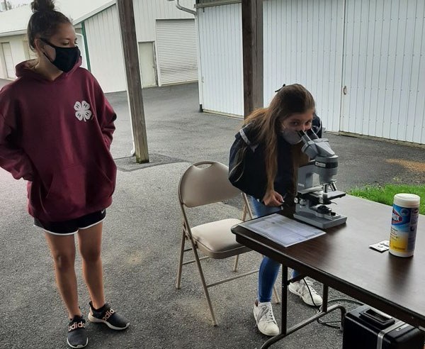 Learning to be Scientists and Good Animal Caretakers Two Livestock Club members conducting a fecal float.