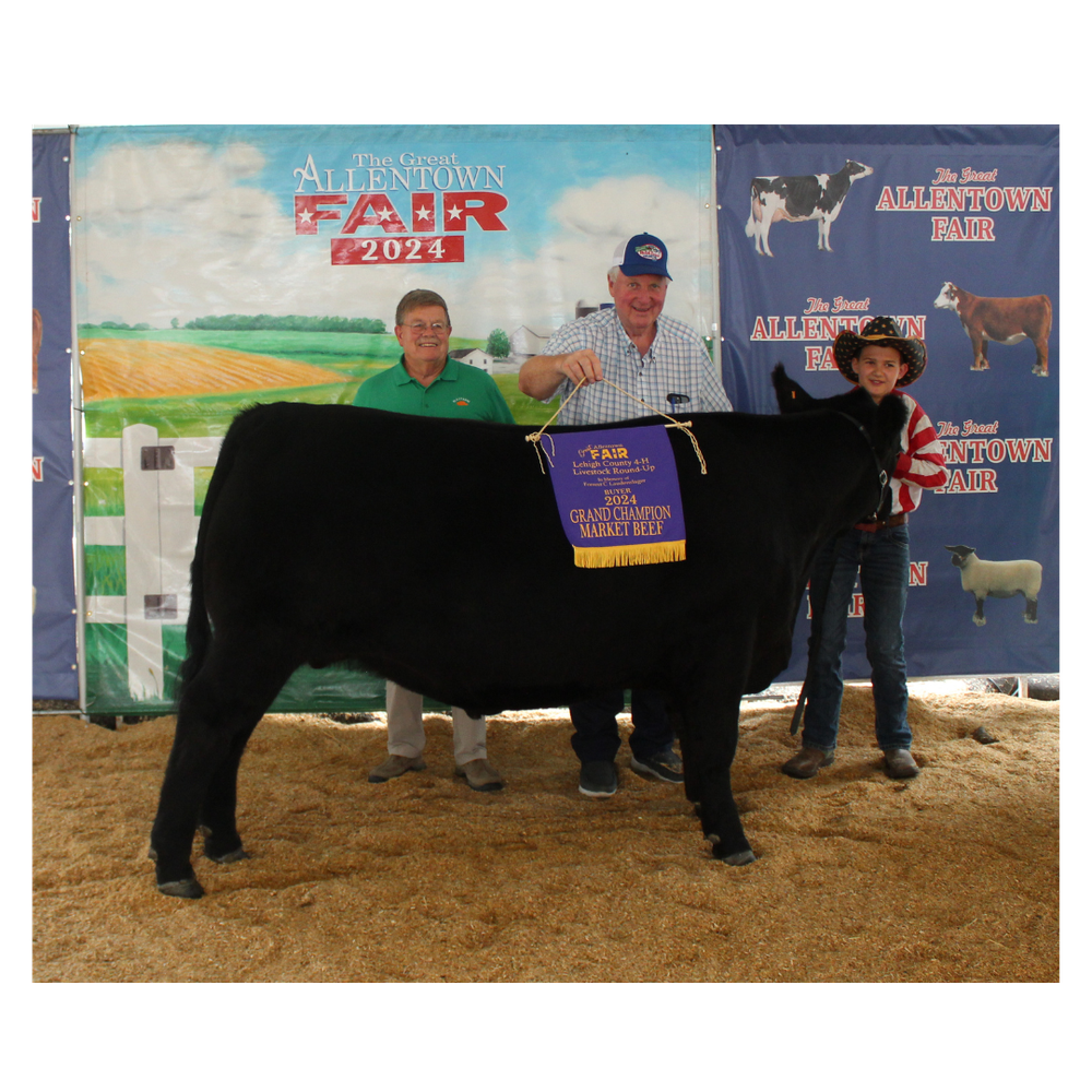 Lehigh County 4-H Members Shine at the Great Allentown Fair The champion Market Beef was shown by Ethan Brozman of Nazareth and purchased by Bell and Evans and Mr. Bills Chicken for $4100.