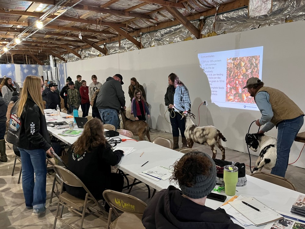 Feeding and Breeding Livestock Clinic