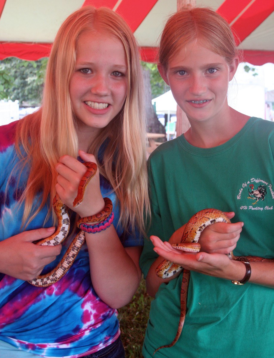 Rockin' Reptiles Herpetology Club