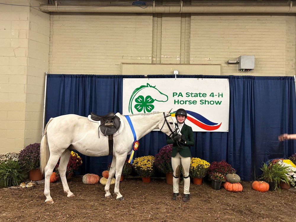 Pennsylvania State 4-H Horse Show 2024 Madison Bara and "Tuckered Out"