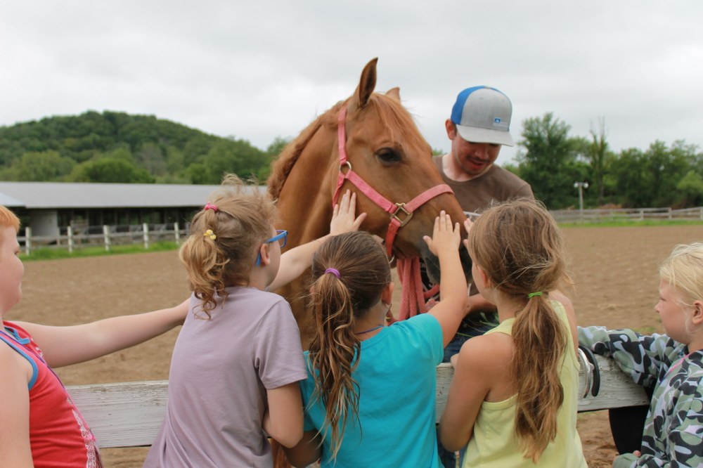 Discovery Day Camp Youth interact with a horse during an animal science workshop at camp
