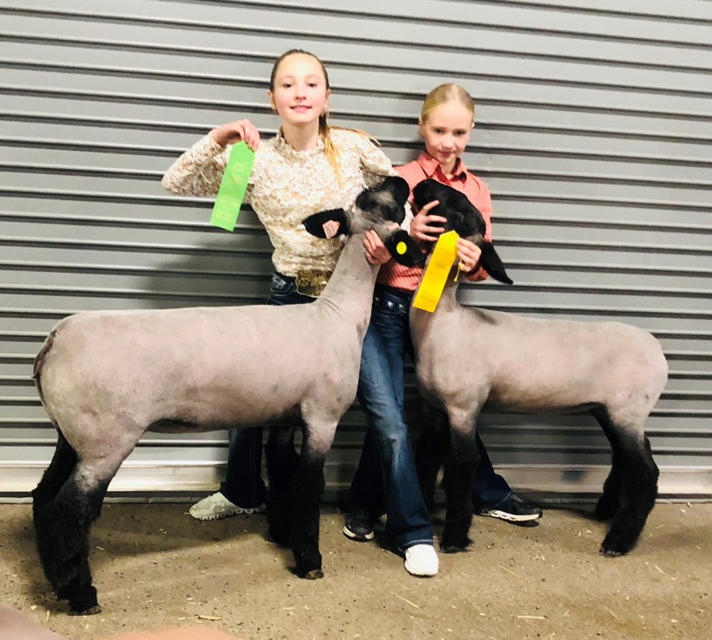 Potter County 4-H Attends the 2025 Farm Show Harriet and Lucille Rutkowski-Hood with their Junior Market Lambs