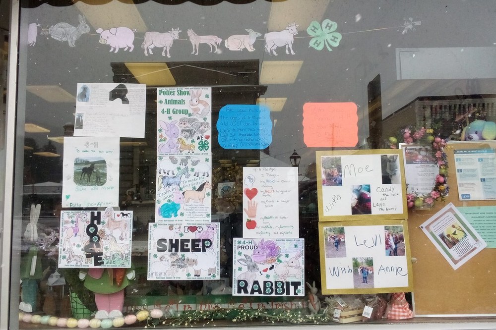 Potter County Celebrates Pennsylvania 4-H Week Potter Show Animals 4-H Club Window Display