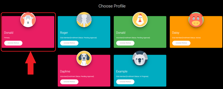 Choose profile window