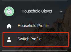 Switch profile window