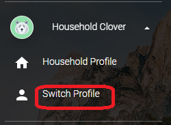 Switch profile window