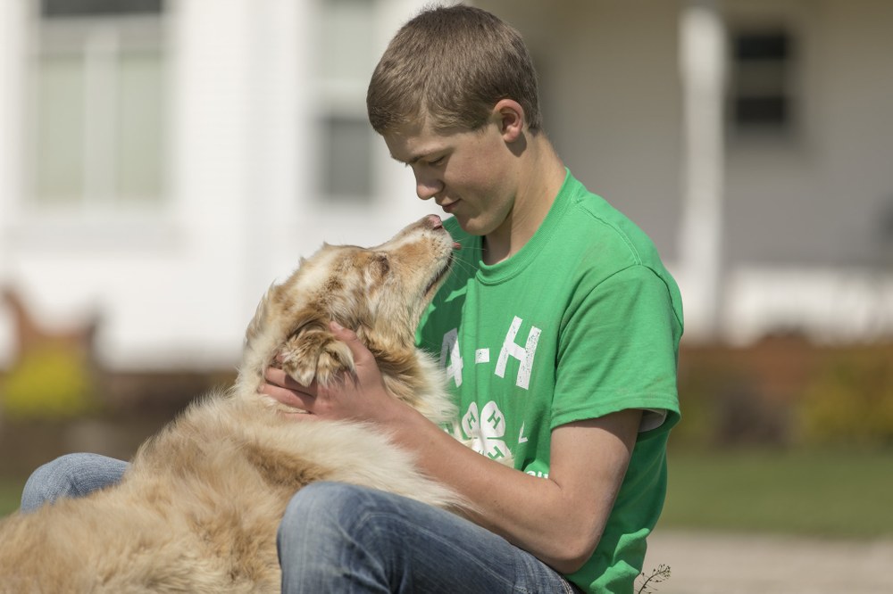 4-H Quality Animal Management Program Update Boy and his dog