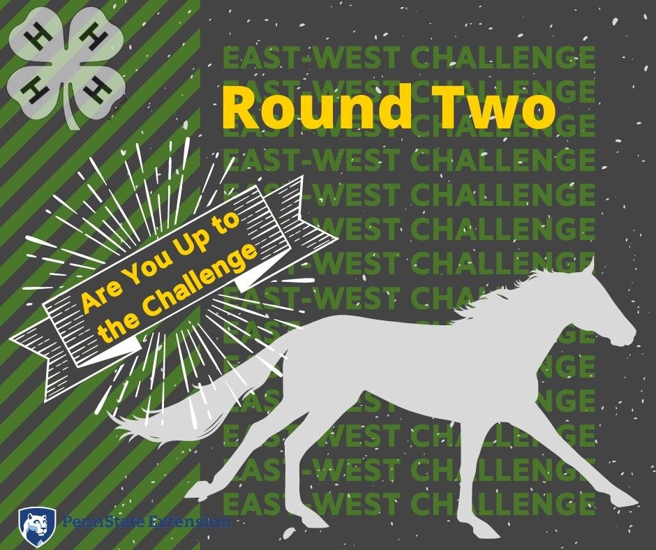 East-West Challenge Round Two...Are You Up to the Challenge?
