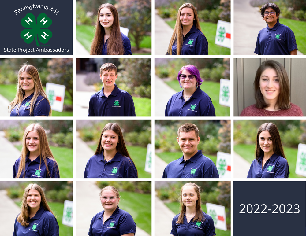 Pennsylvania 4-H Announces New State Project Ambassador Team