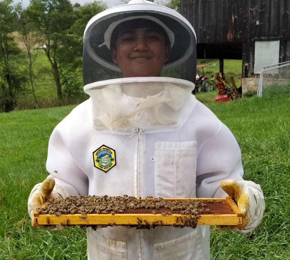 Pennsylvania 4-H'er Earns Second Place in National 4-H Beekeeping Essay Contest Zephan Samuel
