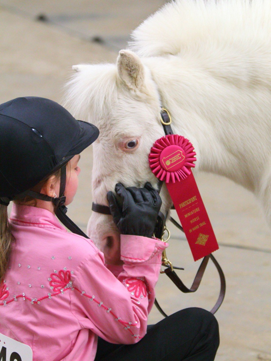 Horse Cloverbud Program