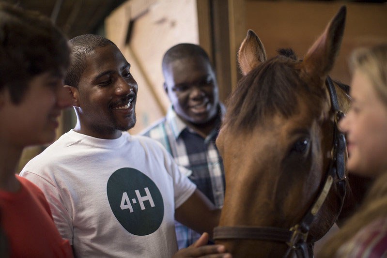 Horse Projects